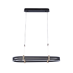 Люстра светодиодная в форме овала из акрила и алюминия с пультом для регулировки света Ring Horizontal Anthracite варинант исполнения - 1 | Loft Concept в Твери