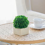 Декоративный искусственное растение Square boxwood варинант исполнения - 6 | Loft Concept в Твери