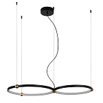 Люстра подвесная светодиодная черный металл Ring Horizontal варинант исполнения - 9 | Loft Concept в Твери