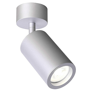 Накладной поворотный спот Modern Spot Silver