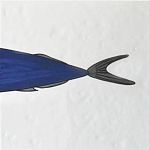 Плитка с узором Рыба пловчиха варинант исполнения - 6 | Loft Concept в Твери