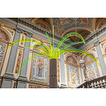 Дизайнерский торшер в виде пальмы Poltronova Sanremo Floor Lamp варинант исполнения - 9 | Loft Concept в Твери