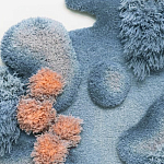 Тканый вручную Большой абстрактный гобелен Frost Forest варинант исполнения - 1 | Loft Concept в Твери