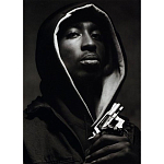 Подарочная книга величайший фотограф Альберт Уотсон The Vienna album Albert Watson варинант исполнения - 2 | Loft Concept в Твери