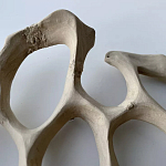 Блюдо «Бежевый коралл» варинант исполнения - 3 | Loft Concept в Твери