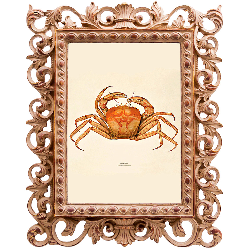 Постер Ocher Crab Poster Бежевый Оранжевый Постер Ocher Crab Poster Бежевый Оранжевый в Твери | Loft Concept