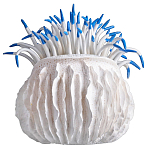 Статуэтка тропический фрукт Tropical Fruit White Blue варинант исполнения - 3 | Loft Concept в Твери