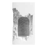 Встраиваемый в стену гипсовый светильник под покраску с эффектом разрушенной стены Antiquity Athena варинант исполнения - 2 | Loft Concept в Твери