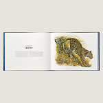 Лимитированная подарочная книга HERMES Fierce and Fragile book, English version варинант исполнения - 3 | Loft Concept в Твери