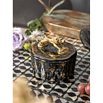 Шкатулка черного цвета с крышкой с фигуркой льва Eden Garden варинант исполнения - 6 | Loft Concept в Твери