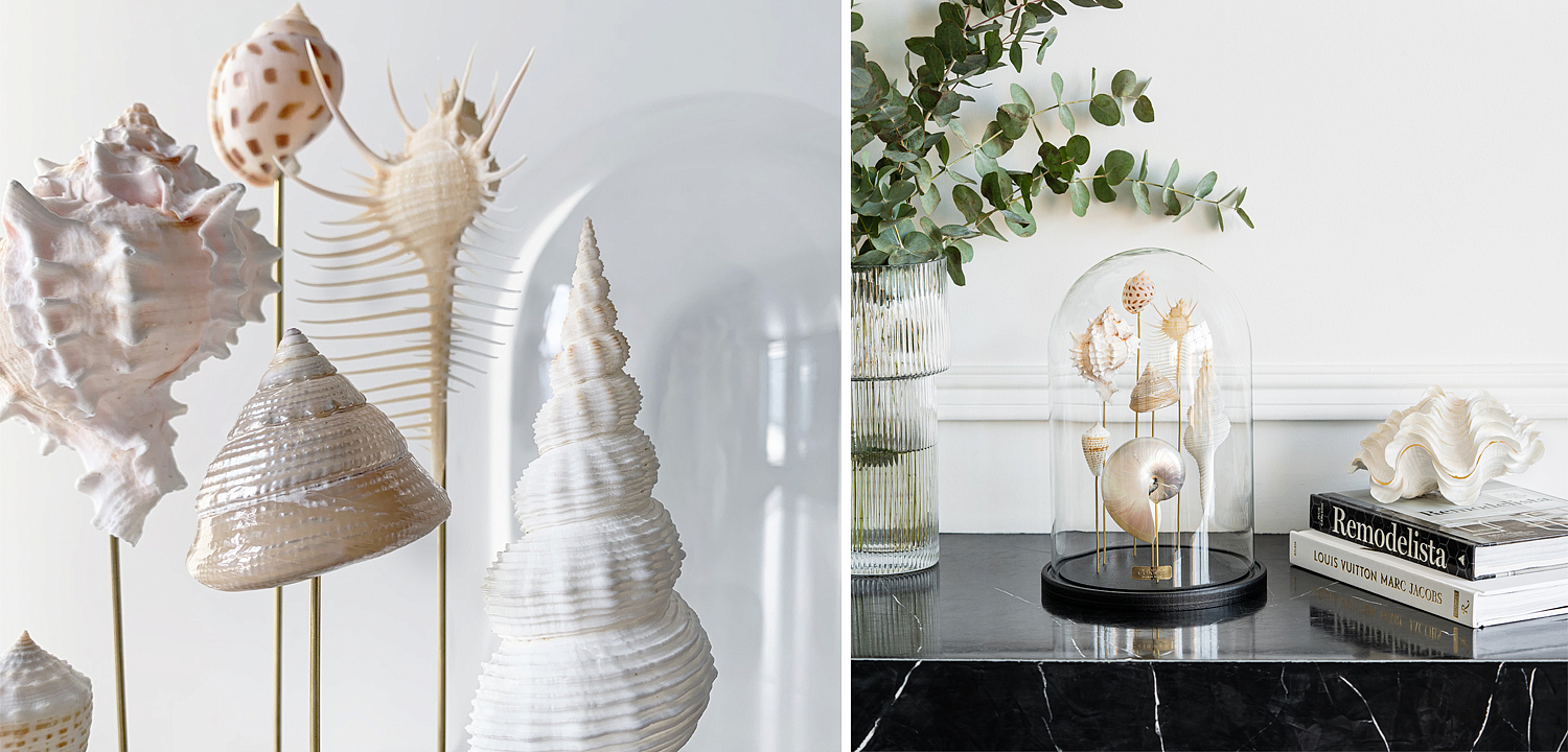 Статуэтка Shell Collection Glass Cloche 1 Статуэтка Shell Collection Glass Cloche 1 - Loft-Concept в Твери