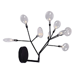 Бра в виде ветвей с прозрачными круглыми плафонами Moooi варинант исполнения - 2 | Loft Concept в Твери