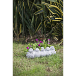 Кашпо Canaries варинант исполнения - 6 | Loft Concept в Твери