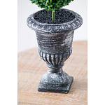 Декоративный искусственное растение Double boxwood варинант исполнения - 7 | Loft Concept в Твери