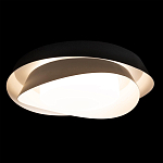 Потолочный светильник круглый черного цвета из металла Vita Cuna варинант исполнения - 1 | Loft Concept в Твери