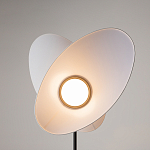 Напольный светильник Evolution 3000К 12Вт варинант исполнения - 5 | Loft Concept в Твери