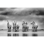 Книга Beusker. Look into my Eyes варинант исполнения - 4 | Loft Concept в Твери