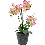 Декоративный искусственное растение Pink orchid варинант исполнения - 5 | Loft Concept в Твери