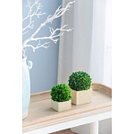 Декоративный искусственное растение Square boxwood варинант исполнения - 5 | Loft Concept в Твери