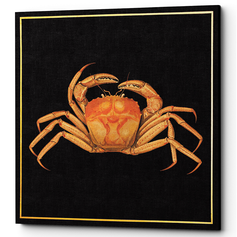 Постер Running Crab Poster Черный Оранжевый Постер Running Crab Poster Черный Оранжевый в Твери | Loft Concept