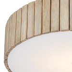 Потолочный светильник круглый светодиодный Contrasting Elements варинант исполнения - 1 | Loft Concept в Твери