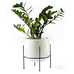 Кашпо из керамики Elevated Planters 32 варинант исполнения - 11 | Loft Concept в Твери