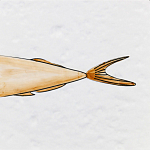 Плитка с узором Рыба Русалка варинант исполнения - 6 | Loft Concept в Твери