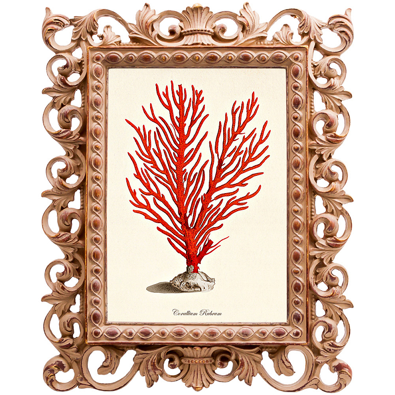 Постер Red Coral Poster 1 Бежевый Красный в Твери | Loft Concept 