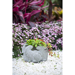 Кашпо A collection of baby rabbits варинант исполнения - 9 | Loft Concept в Твери