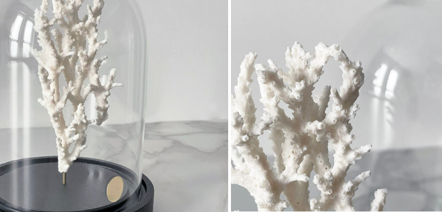 Статуэтка White Coral Glass Cloche Статуэтка White Coral Glass Cloche - Loft-Concept в Твери