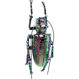 Аксессуар на стену Beetle I