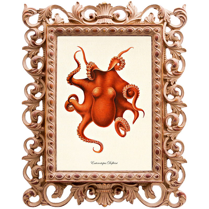 Постер Red Octopus Poster Бежевый Красный Постер Red Octopus Poster Бежевый Красный в Твери | Loft Concept