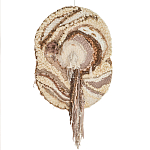 Овальный Современный Гобелен Абстракция в бежевых тонах Shallow варинант исполнения - 7 | Loft Concept в Твери