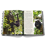 Подарочнный коллекционный фото альбом AFRICAN ADVENTURES NEW 2023 ASSOULINE HC UNBELIEVABLE ILLUSTRATIONS Safari варинант исполнения - 8 | Loft Concept в Твери