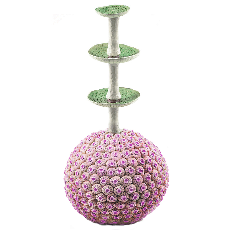 Статуэтка розовый экзотический фрукт Exotic Tropical Fruit 61 Зеленый Розовый в Твери | Loft Concept 