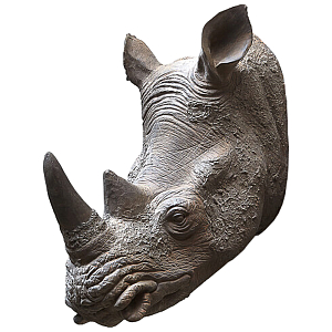 Аксессуар на стену Rhinoceros