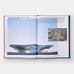 Radical Architecture of the Future варинант исполнения - 4 | Loft Concept в Твери