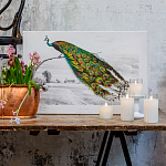 Постер на холсте с изображением павлина на ветке Majestic Peacock on a Tree Poster варинант исполнения - 2 | Loft Concept в Твери