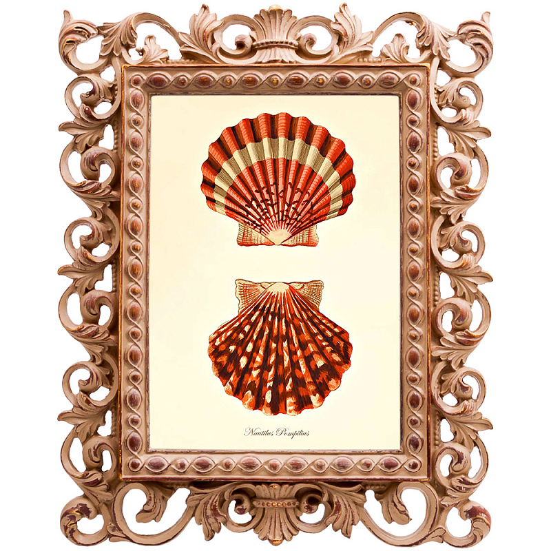 Постер Red Scallop Poster Бежевый Красный в Твери | Loft Concept 