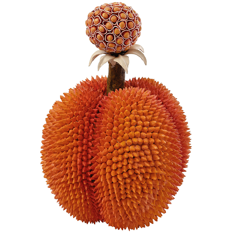 Статуэтка тропический фрукт Tropical Fruit Orange Prickly Berry Оранжевый Статуэтка тропический фрукт Tropical Fruit Orange Prickly Berry Оранжевый в Твери | Loft Concept