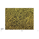 Редкое подарочное издание Yayoi Kusama: 1945 to Now варинант исполнения - 7 | Loft Concept в Твери