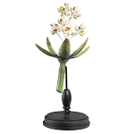 Статуэтка Wonderboom варинант исполнения - 1 | Loft Concept в Твери