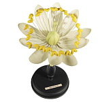 Статуэтка Tilia варинант исполнения - 1 | Loft Concept в Твери