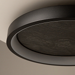 Потолочный светильник Orign 3000К варинант исполнения - 5 | Loft Concept в Твери