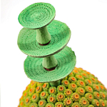 Статуэтка тропический фрукт Tropical Fruit Amazonica Green Yellow варинант исполнения - 1 | Loft Concept в Твери