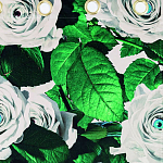 Штора Seletti Roses варинант исполнения - 1 | Loft Concept в Твери