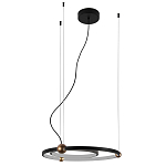 Люстра подвесная светодиодная черный металл Ring Horizontal варинант исполнения - 2 | Loft Concept в Твери