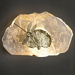 Бра Декоративный лист с стрекозой Glacial Fragment варинант исполнения - 2 | Loft Concept в Твери