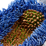 Дизайнерская статуэтка для интерьера Tropical Fruit Pandora 12 варинант исполнения - 3 | Loft Concept в Твери