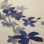 Обои ручная роспись Cherry Tree Original colourway on Stone Ochre dyed silk варинант исполнения - 3 | Loft Concept в Твери